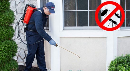 Gümüşhane Hamam Böceği İlaçlama böcek ilaçlama ve haşere kontrolü — ilaclama-tr.com